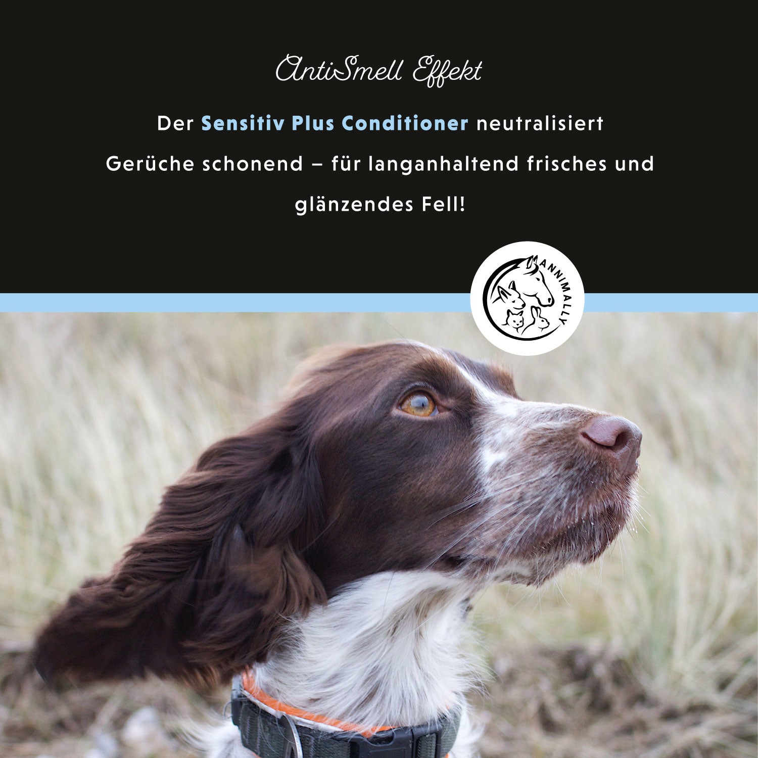 Après-shampoing Sensitive Plus