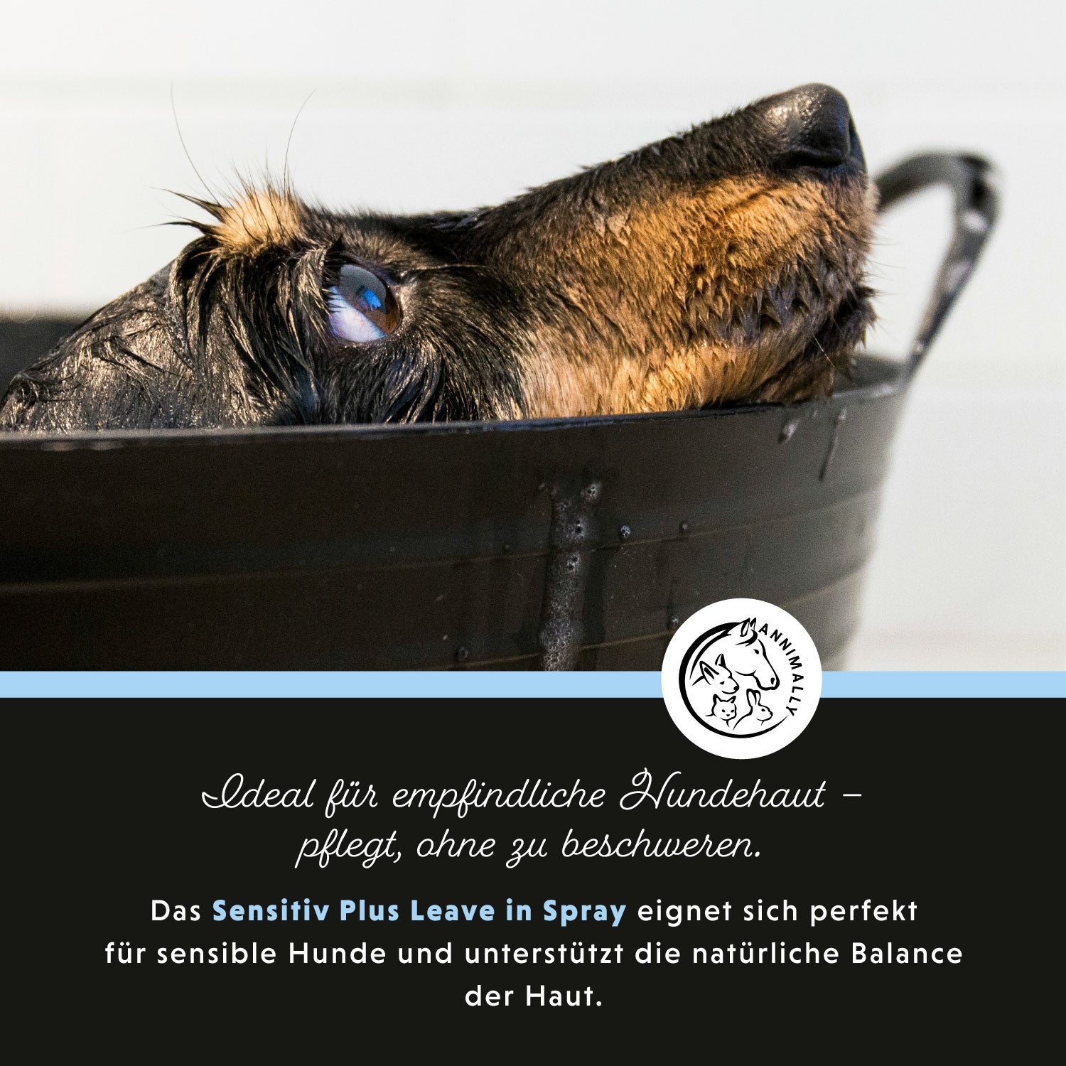 Spray sans rinçage Sensitive Plus