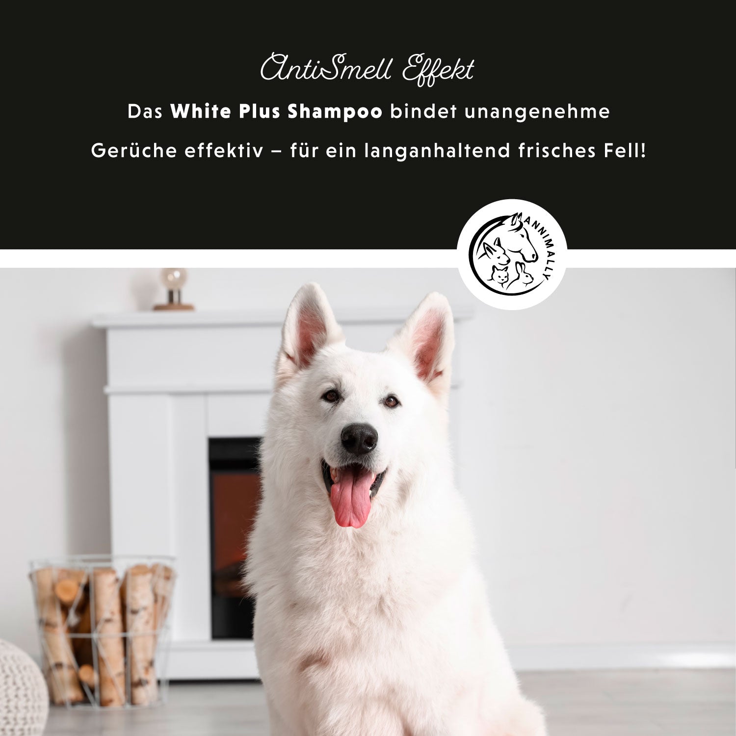 Shampoing White Plus