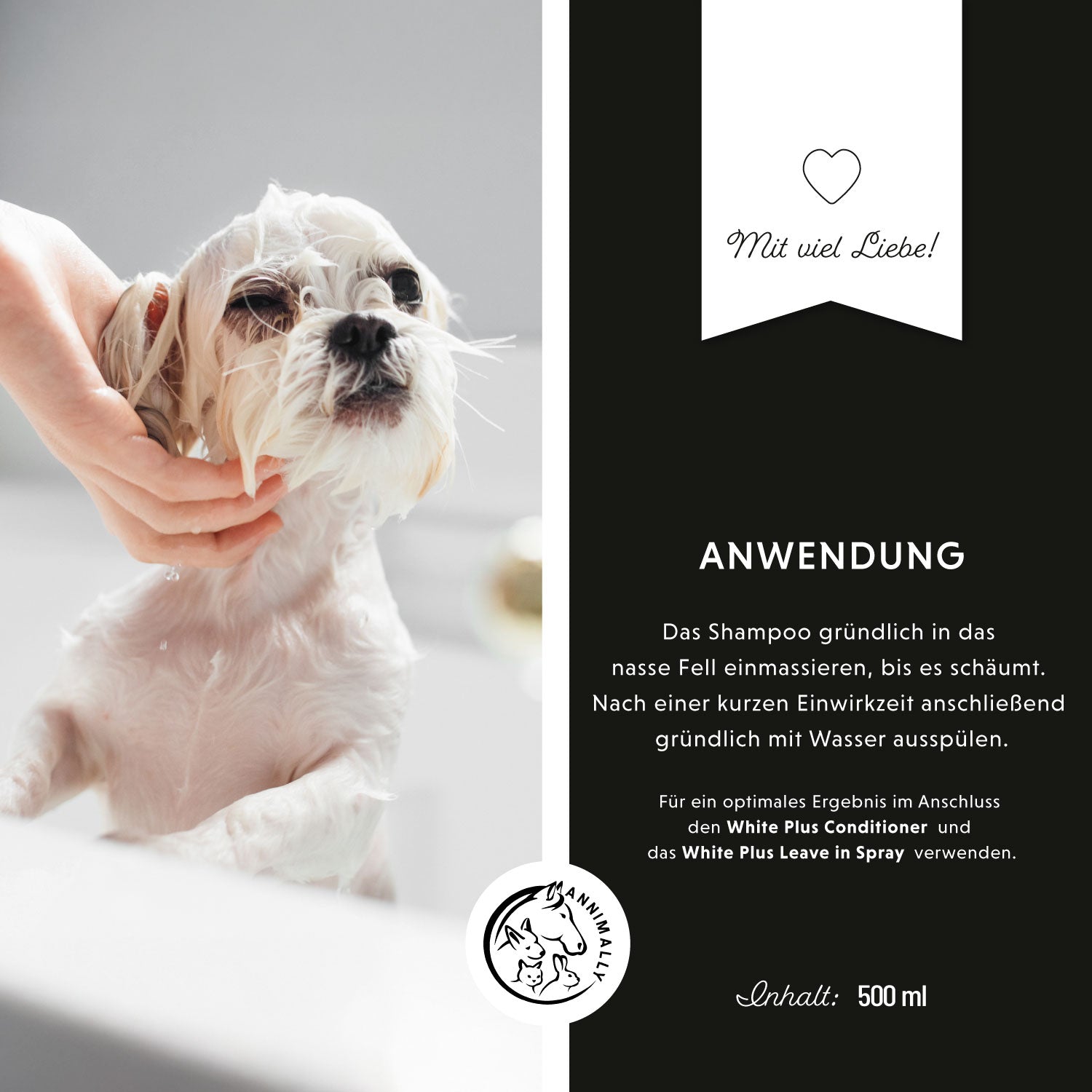 Shampoing White Plus