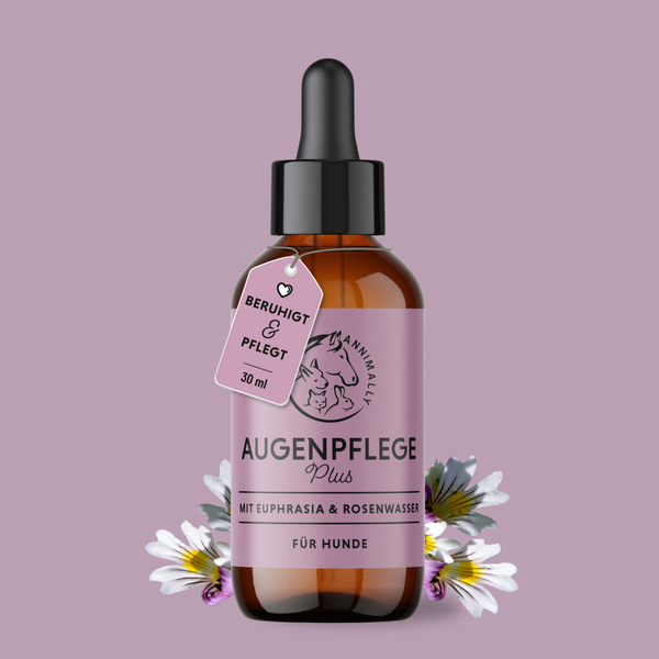 Augenpflege Plus mit Euphrasia & Rosenwasser