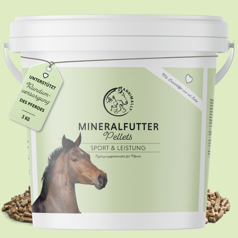 Mineralfutter Sport & Leistung