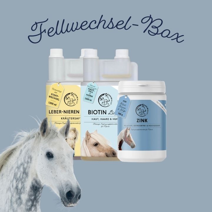 boîte de dépeçage