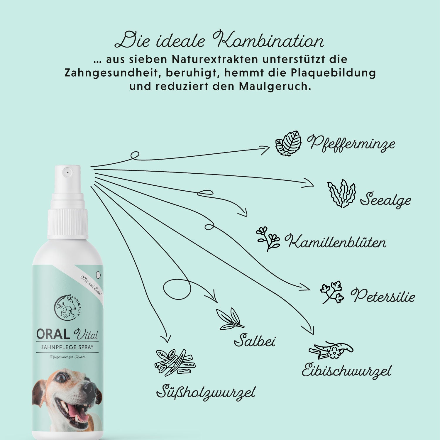 Spray Oral Vital