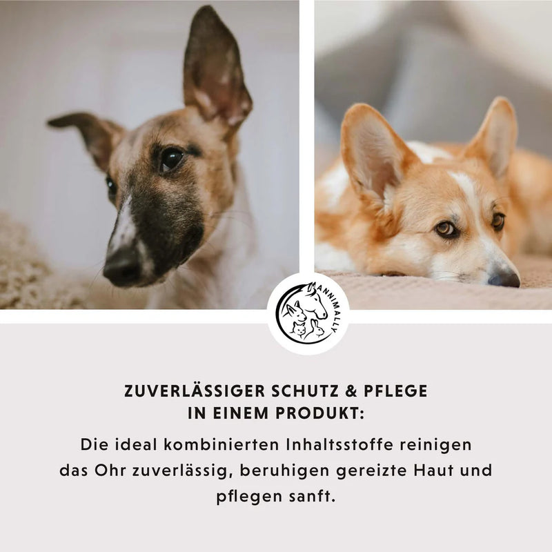 Ohrenpflege mit kolloidalem Silber 50 ppm