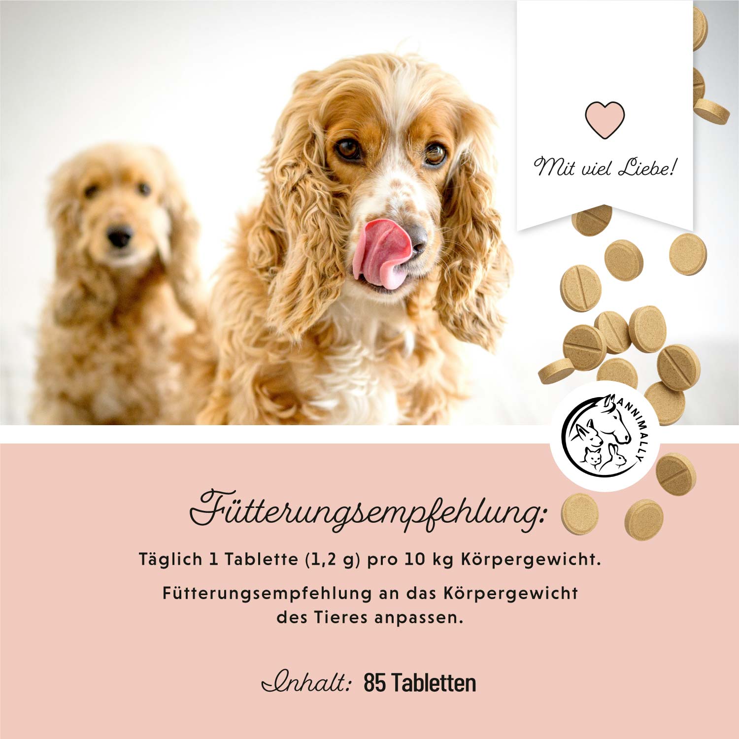 Le quotidien du chien