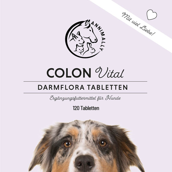 Colon Vital Tabletten