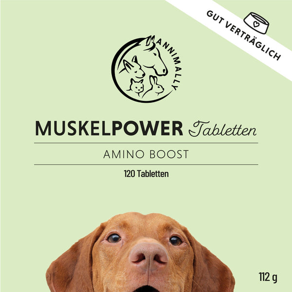 Muskelpower Tabletten