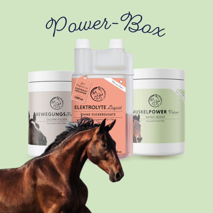 Boîte d'alimentation