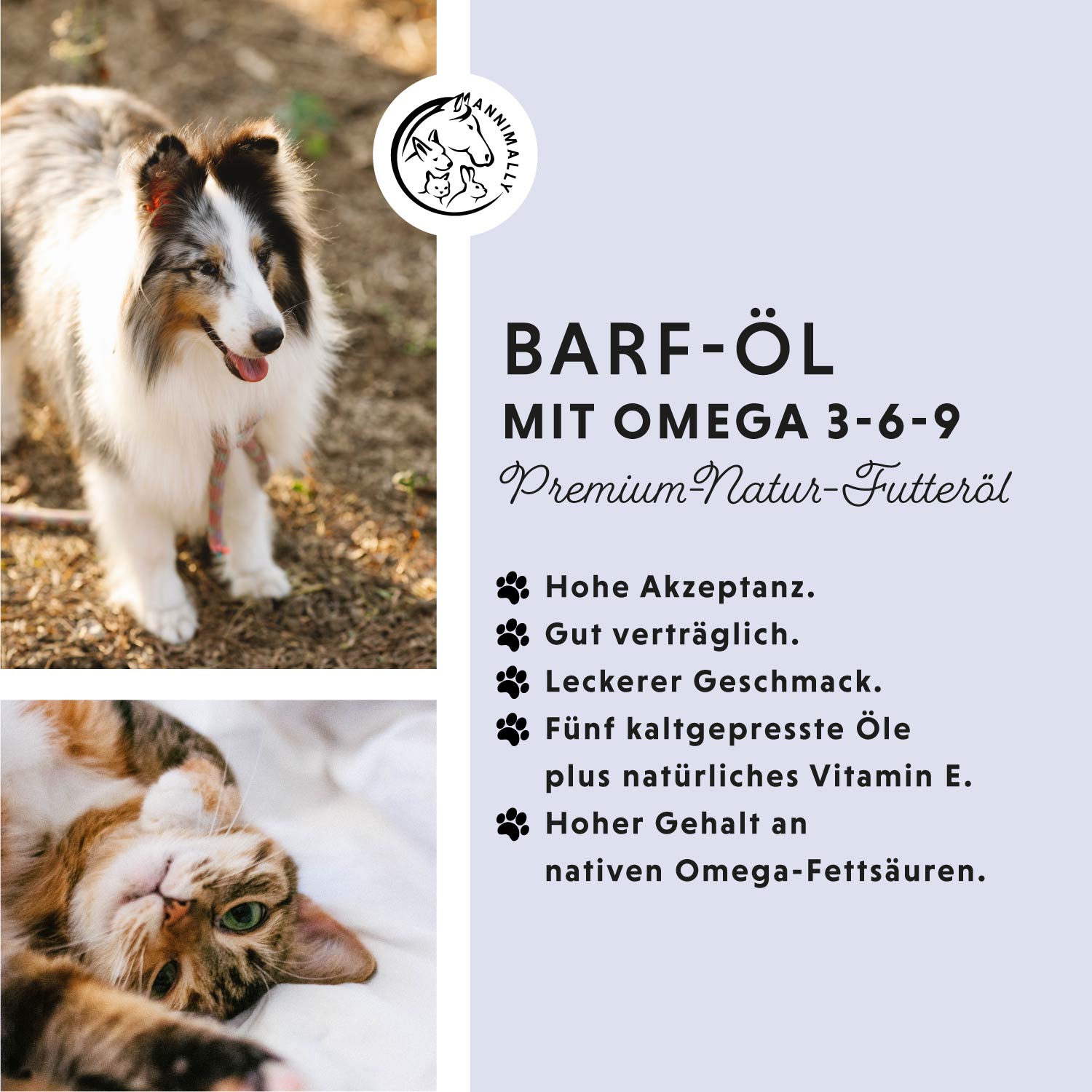 Barf-Box XL