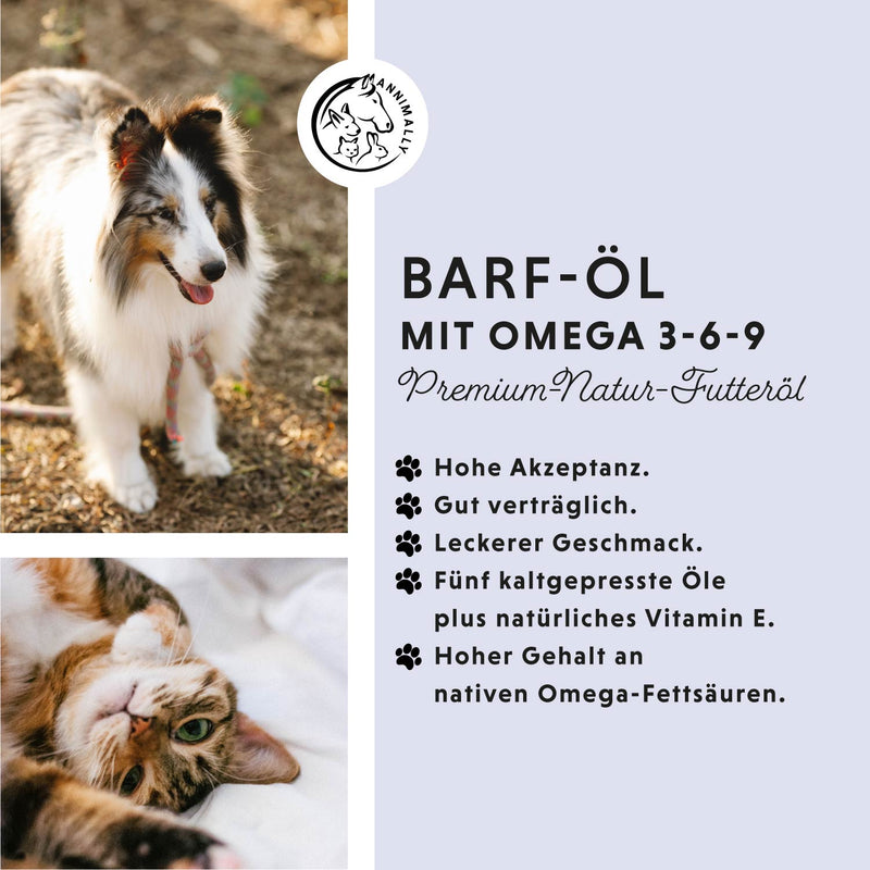 Boîte à Barf XL 