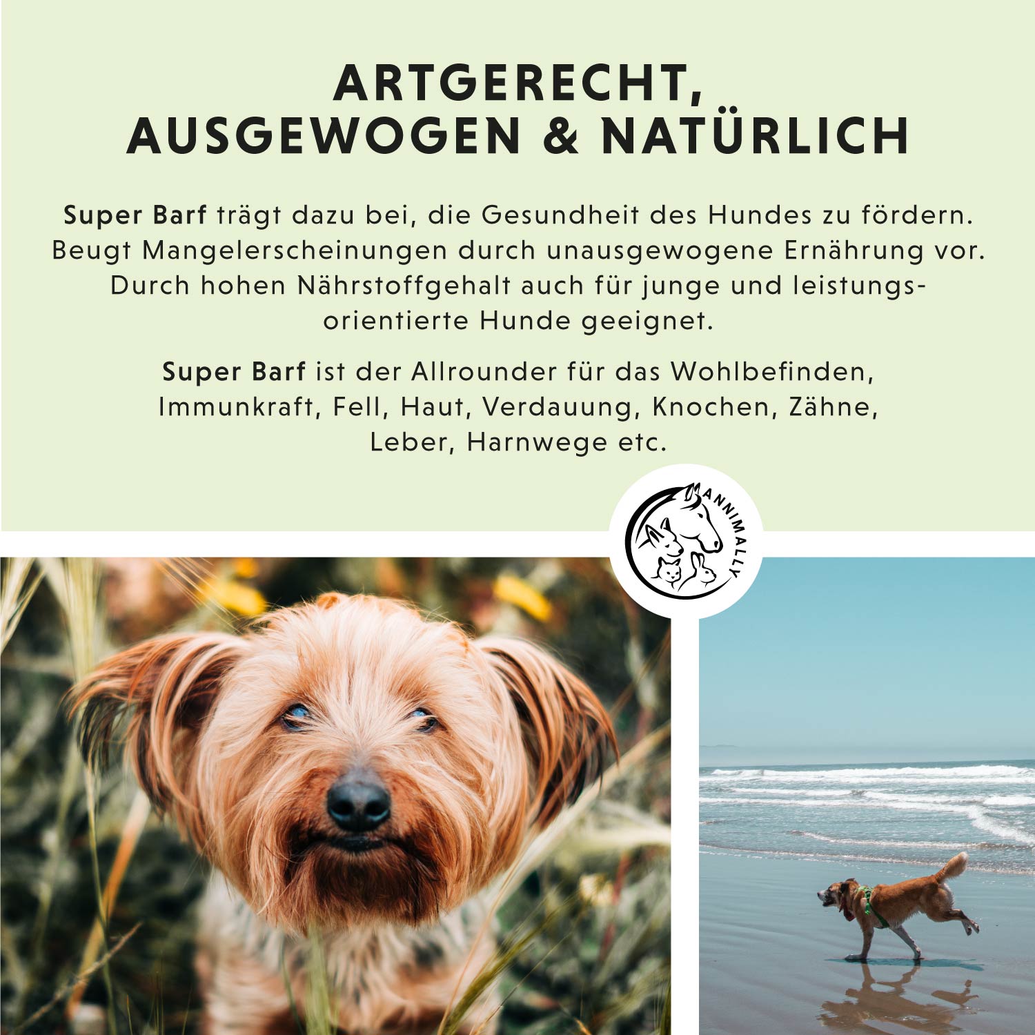 barf komplettmenü hund - Super Barf von Annimally