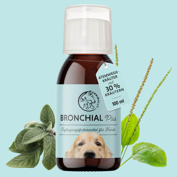 Bronchique Plus