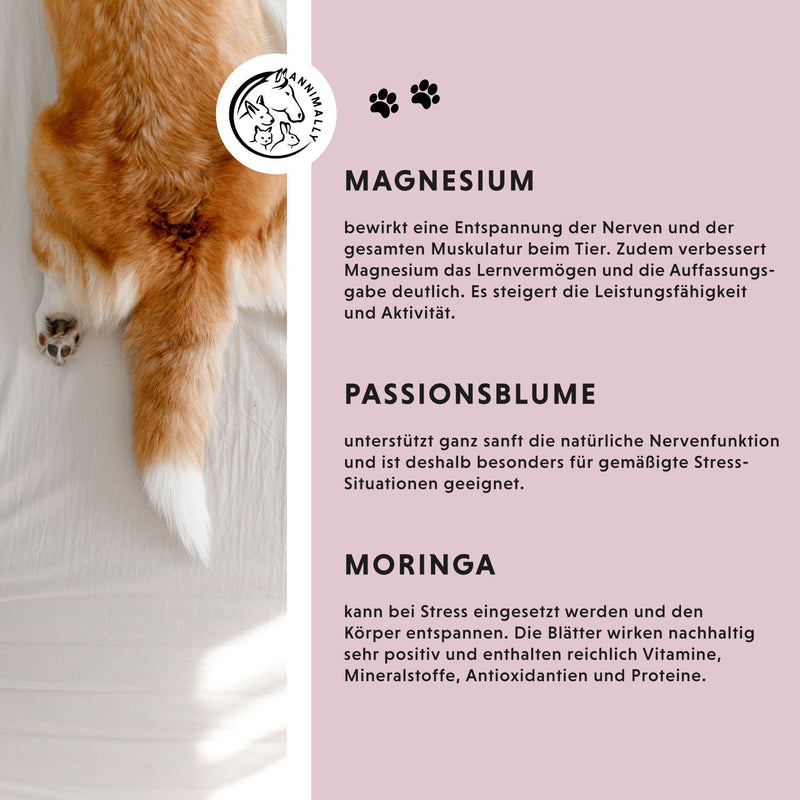 Wirkstoffe der Rescue Tropfen für Hund und Katze