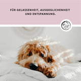 Comprimés relaxants