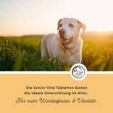 Senior Vital Tabletten