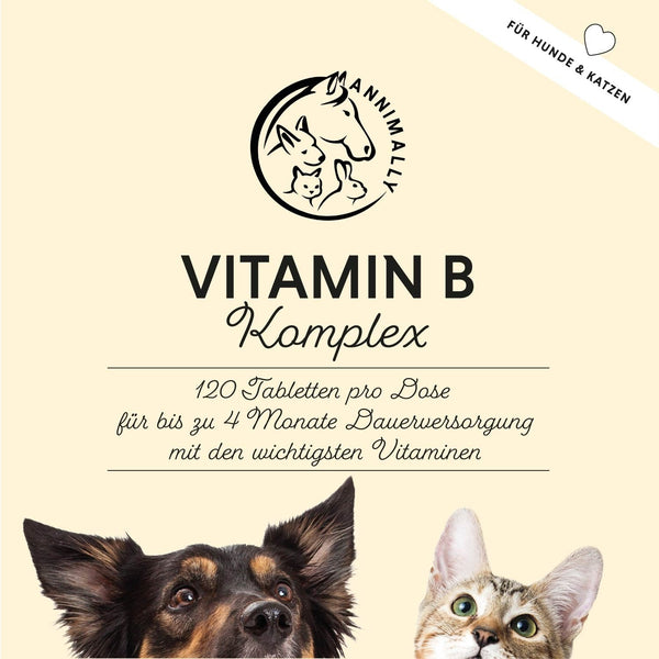 Complexe de vitamines B