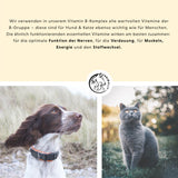 Boîte à chat