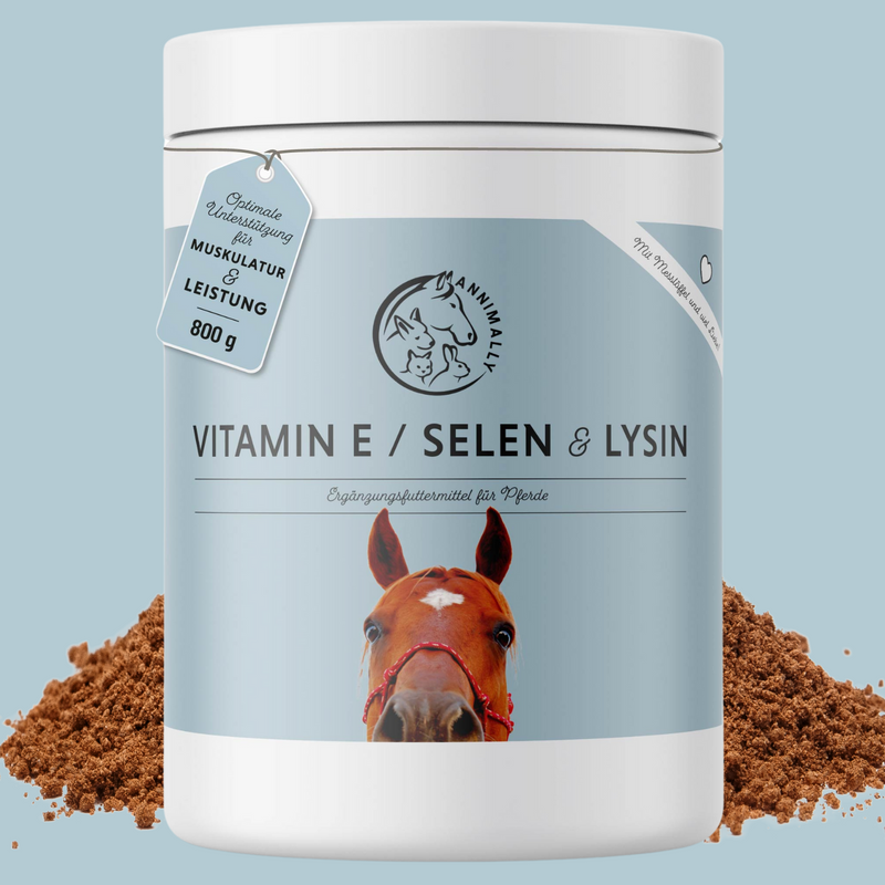 Vitamine E / Sélénium &amp; Lysine
